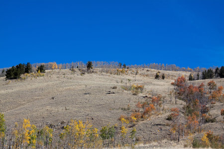 Desertの写真素材