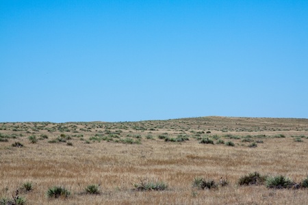 Steppeの写真素材