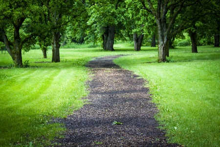 WalkWay in the parkの写真素材