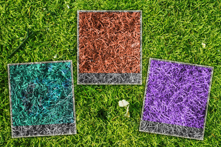 Color Natureの写真素材