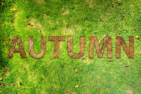 Fall Backgroundの写真素材