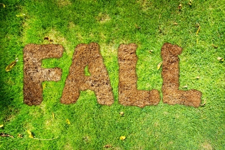 Fall Backgroundの写真素材