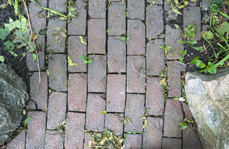 Garden Walkway