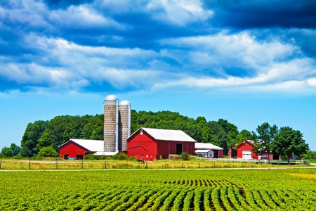 Farmの写真素材