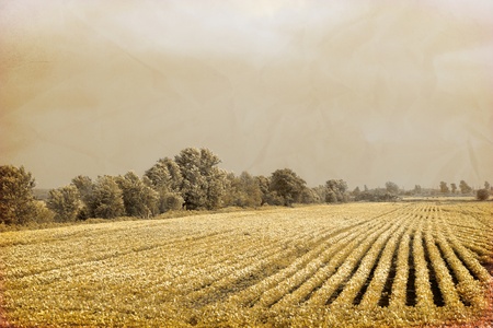 Vintage Design - Farmlandの写真素材