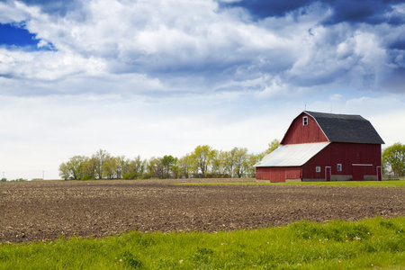 Farm