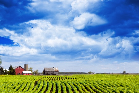 Storm is comingの写真素材