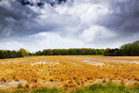 American Farmland with stormy sky 