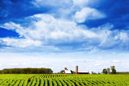 Country Landscapeの写真素材