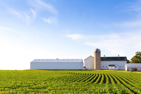 American Country Farm With Blue Skyの写真素材