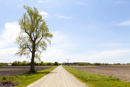Country Road - Loose Gravelの写真素材
