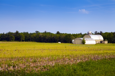 American Farm in hot summer dayのeditorial素材