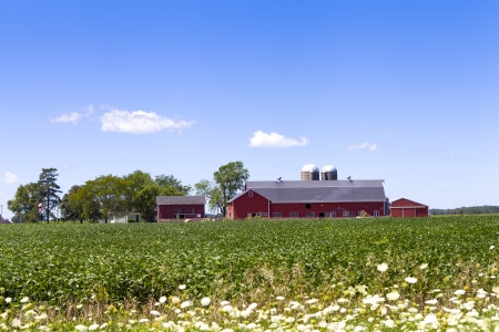 American Farmのeditorial素材