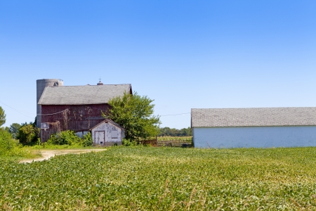 American Farmの写真素材