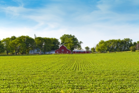American Farmland With Blue Skyの写真素材