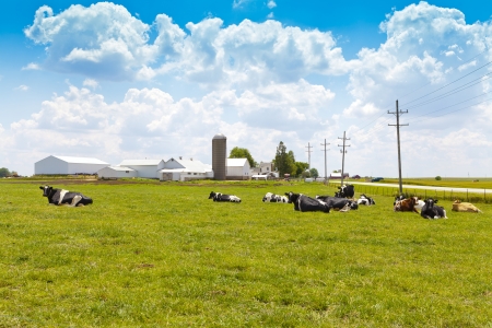 American Farmland With Blue Skyの写真素材