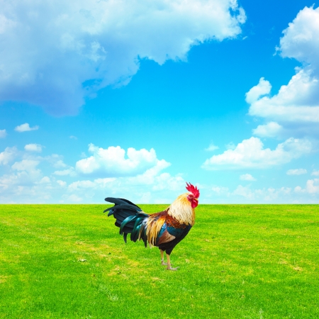 Spring Landscapeの写真素材