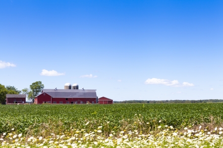 Traditional American Red Farm in Summer の写真素材