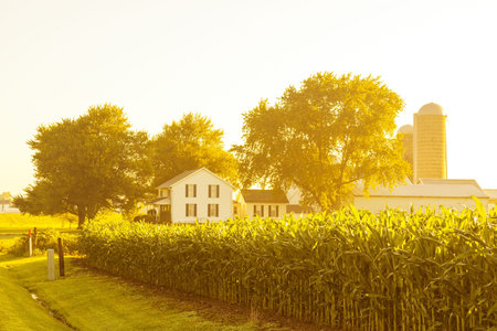 American Countryside Landscape With White Barn のeditorial素材