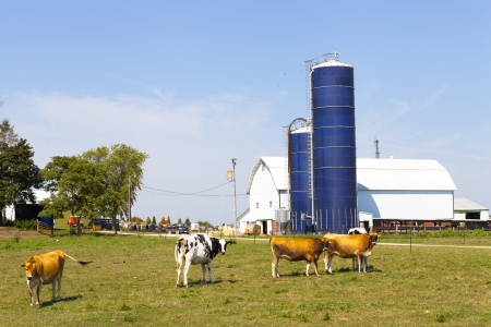 Milk Farm の写真素材