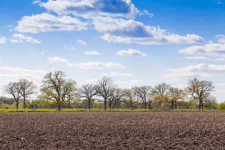 American Countryside With Blue Skyの写真素材