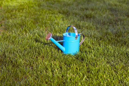 Blue Watering Can In Gardenの写真素材