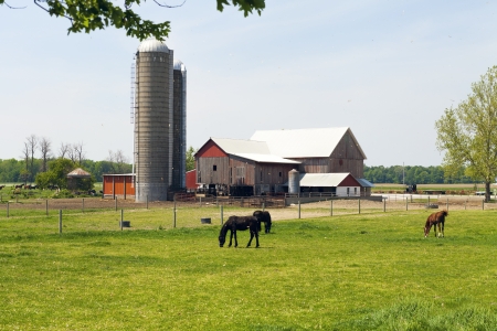 American Farmland With Blue Cloudy Skyのeditorial素材