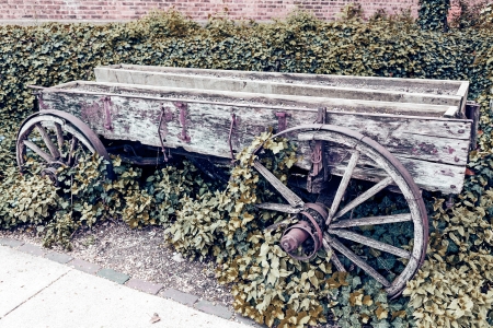 Secret Gardenの写真素材