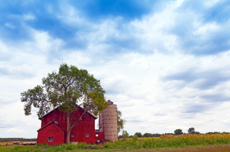 American Farmland With Blue Cloudy Skyのeditorial素材