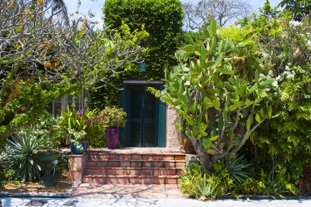 Wooden Door With Big Gardenの写真素材