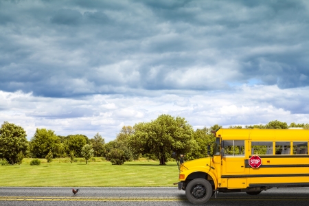School Bus on american country road in the morningの写真素材