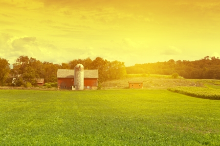 Photo pour American Farm in hot summer day  - image libre de droit