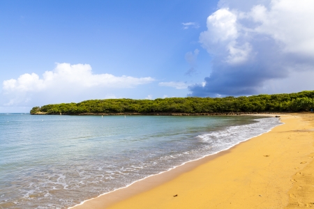 Hot Tropical Beach With Blue Skyの写真素材