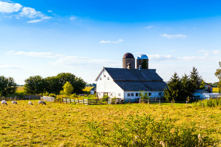 American Farmland With Blue Cloudy Skyのeditorial素材