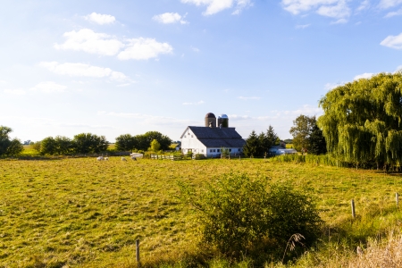 American Farmland With Blue Cloudy Skyの写真素材