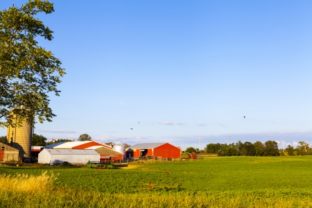 American Farmland With Blue Cloudy Skyのeditorial素材