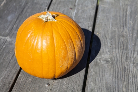 Pumpkinsの写真素材