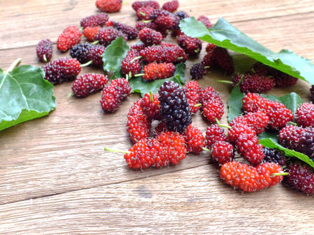 fresh organic mulberry on wooden background