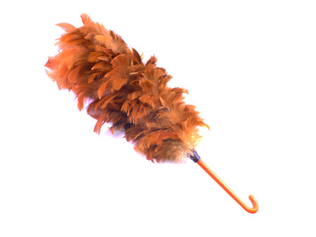 feather duster isolated on white background