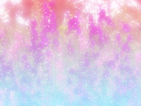 beautiful flowers made with color filtersの写真素材