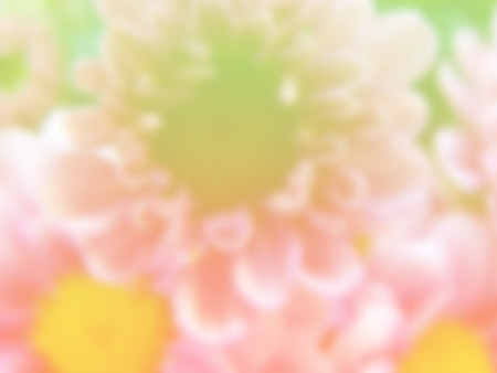 beautiful flowers made with color filtersの写真素材
