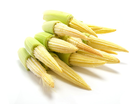 baby cornの写真素材