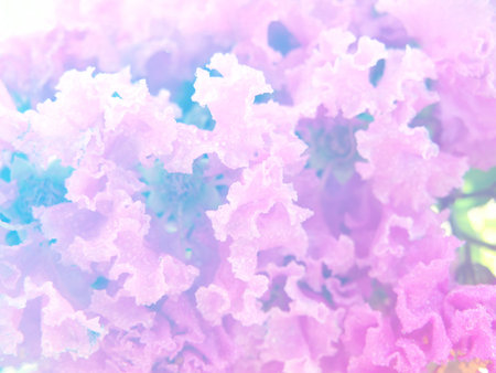 flowers made with color filters romantic flowers backgroundの写真素材