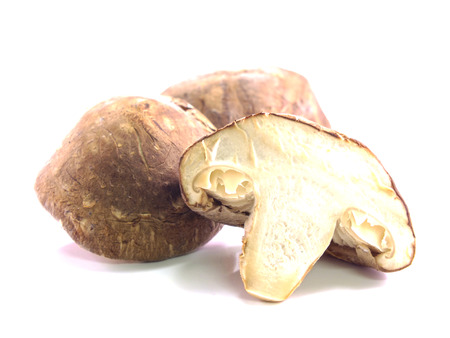shiitake mushroom on the white backgroundの写真素材