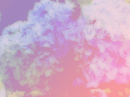 beautiful flowers made with color filters