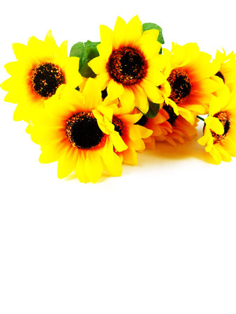 fake sunflower on white backgroundの写真素材