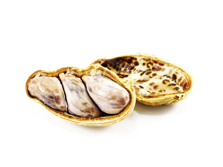 peanuts isolated on white backgroundの写真素材
