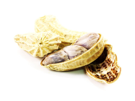 peanuts isolated on white background