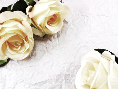 beautiful roses flower on paper texture background with filters colorの写真素材