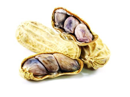 peanut on white background